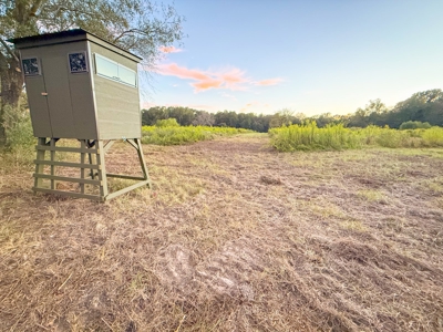 Recreational Hunting Land For Auction in Winnsboro TX - image 31