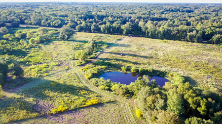 Recreational Hunting Land For Auction in Winnsboro TX - image 44