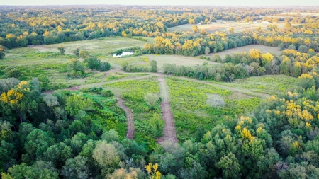 Recreational Hunting Land For Auction in Winnsboro TX - image 7