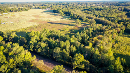 Recreational Hunting Land For Auction in Winnsboro TX - image 36