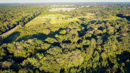 Recreational Hunting Land For Auction in Winnsboro TX - image 14