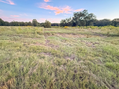 Recreational Hunting Land For Auction in Winnsboro TX - image 25
