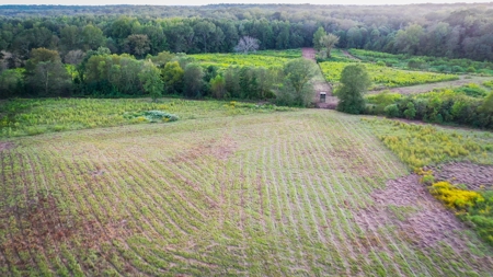 Recreational Hunting Land For Auction in Winnsboro TX - image 6