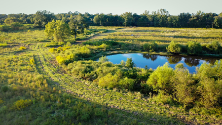 Recreational Hunting Land For Auction in Winnsboro TX - image 28