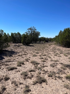 A Ranch Of Your Dreams - image 1