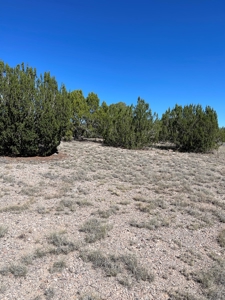 A Ranch Of Your Dreams - image 8