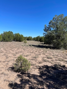 A Ranch Of Your Dreams - image 3