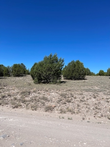 A Ranch Of Your Dreams - image 9