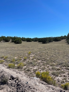 A Ranch Of Your Dreams - image 10