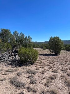 A Ranch Of Your Dreams - image 6