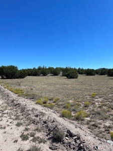 A Ranch Of Your Dreams - image 11