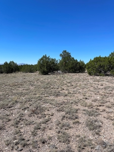 A Ranch Of Your Dreams - image 7