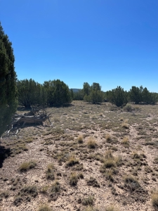 A Ranch Of Your Dreams - image 4