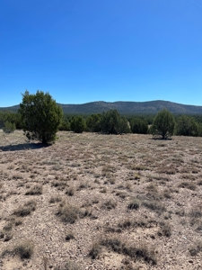 A Ranch Of Your Dreams - image 5
