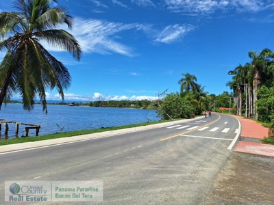 Titled Land in Big Creek, Bocas del Toro, Panama - image 3