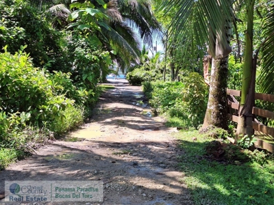Titled Land in Big Creek, Bocas del Toro, Panama - image 2