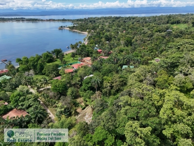 Titled Land in Big Creek, Bocas del Toro, Panama - image 8