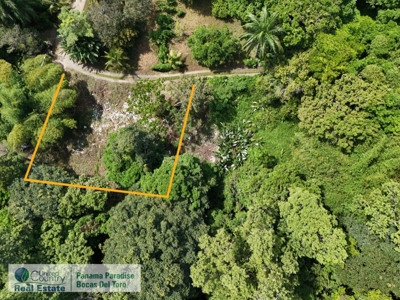 Titled Land in Big Creek, Bocas del Toro, Panama - image 11