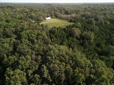 Stunning New Construction Barn-Style Home on 28 Acres - image 26