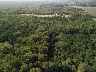 Stunning New Construction Barn-Style Home on 28 Acres - image 21