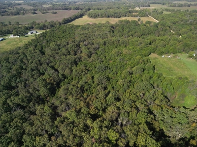 Stunning New Construction Barn-Style Home on 28 Acres - image 15