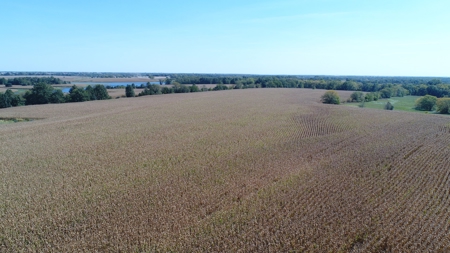 Exceptional 141.85 Acres Near Memphis, Missouri - image 11