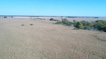 Exceptional 141.85 Acres Near Memphis, Missouri - image 14