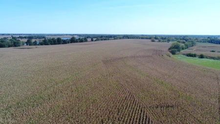 Exceptional 141.85 Acres Near Memphis, Missouri - image 17