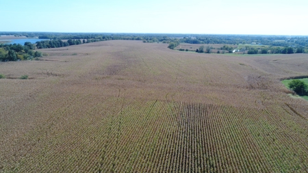 Exceptional 141.85 Acres Near Memphis, Missouri - image 1