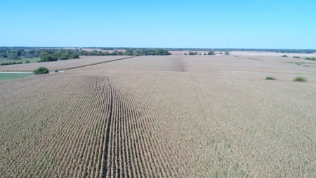 Exceptional 141.85 Acres Near Memphis, Missouri - image 15