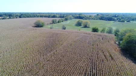 Exceptional 141.85 Acres Near Memphis, Missouri - image 9