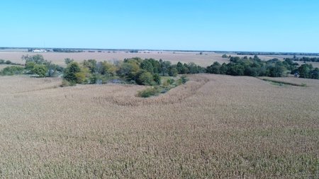 Exceptional 141.85 Acres Near Memphis, Missouri - image 13