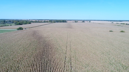 Exceptional 141.85 Acres Near Memphis, Missouri - image 16