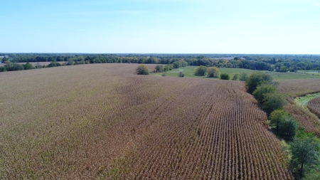 Exceptional 141.85 Acres Near Memphis, Missouri - image 10