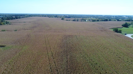 Exceptional 141.85 Acres Near Memphis, Missouri - image 4