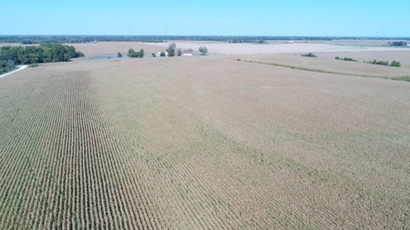 Exceptional 141.85 Acres Near Memphis, Missouri - image 3
