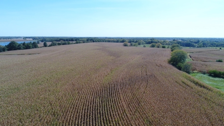 Exceptional 141.85 Acres Near Memphis, Missouri - image 12