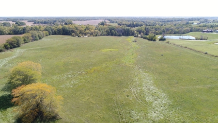 Exceptional 141.85 Acres Near Memphis, Missouri - image 7