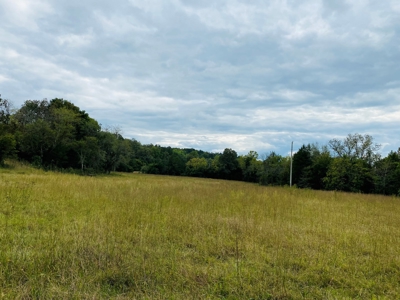 Country Home With Hunting Land And Farmland In Arkansas - image 43