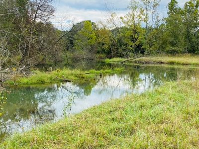 Country Home With Hunting Land And Farmland In Arkansas - image 26