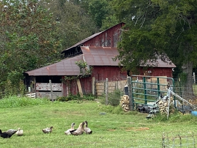 Country Home With Hunting Land And Farmland In Arkansas - image 40