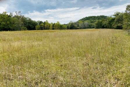 Country Home With Hunting Land And Farmland In Arkansas - image 27