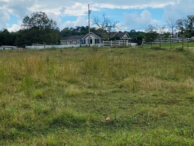 Country Home With Hunting Land And Farmland In Arkansas - image 1