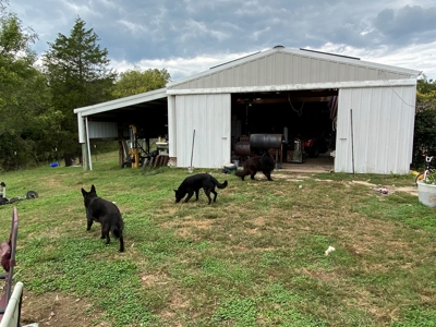 Country Home With Hunting Land And Farmland In Arkansas - image 31