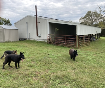 Country Home With Hunting Land And Farmland In Arkansas - image 34