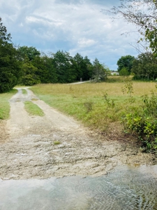 Country Home With Hunting Land And Farmland In Arkansas - image 2