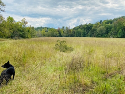 Country Home With Hunting Land And Farmland In Arkansas - image 21