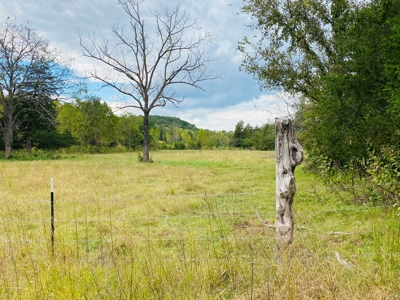 Country Home With Hunting Land And Farmland In Arkansas - image 22