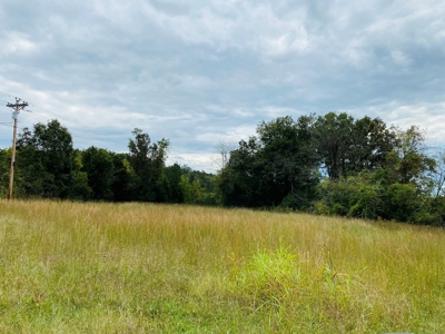 Country Home With Hunting Land And Farmland In Arkansas - image 44