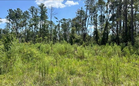 Live Oak Florida Suwannee River Proerty For Sale!!! - image 1